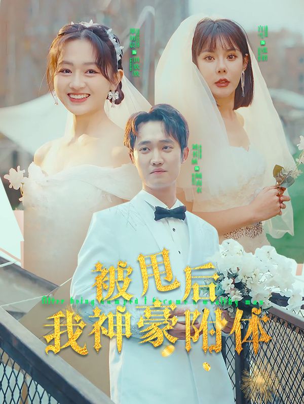 龚玥菲版新梅瓶在线观看